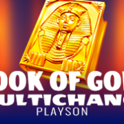 Book of Gold Multichance