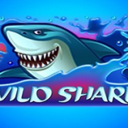 Wild Shark